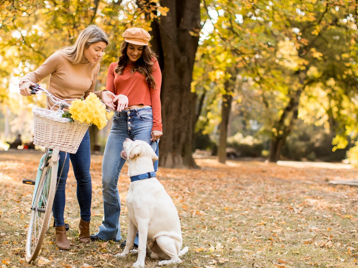 How to Be a Community-Minded Pet&nbsp;Parent