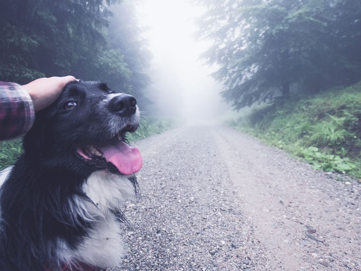 7 Simple Winter Creature Comforts for You and Your&nbsp;Pet